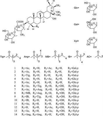 Bioactive Triterpenoid Saponins From the Seeds of Aesculus chinensis Bge. var. chekiangensis